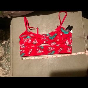 Hollister Gilly Hicks